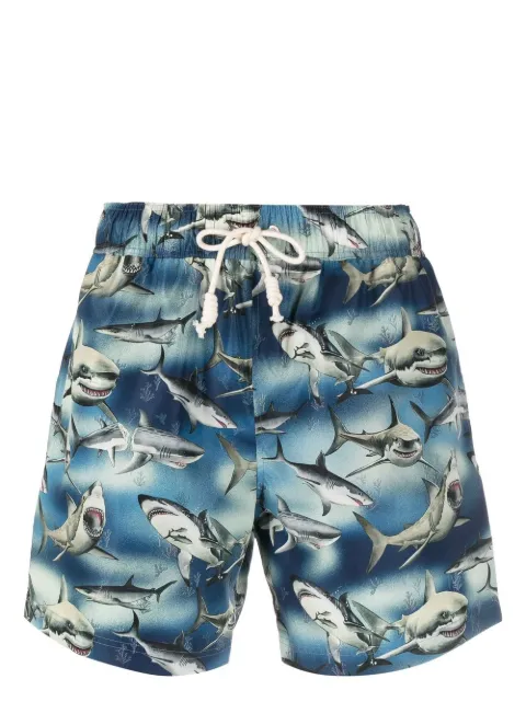 Palm Angels shark-print swim shorts Blue PMFD002S23FAB0064510