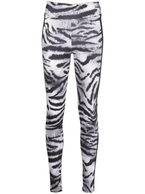 Plein Sport Tiger high-waist leggings Black AABCWJT1672STE003N