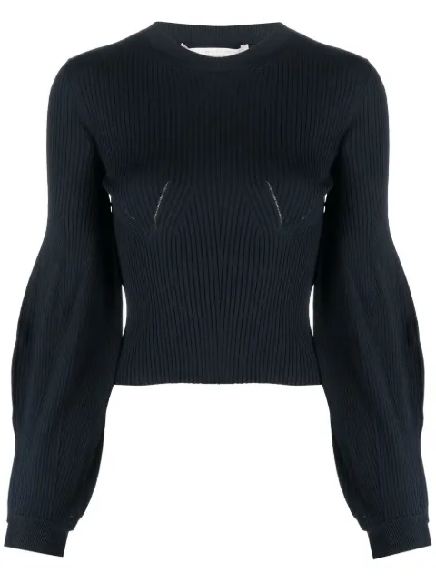 Stella McCartney ribbed-knit crewneck jumper Blue 6K01273S2347