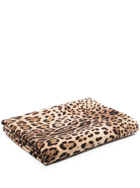 Dolce & Gabbana leopard print 140cm x 180cm blanket Brown TCE013TCAB6