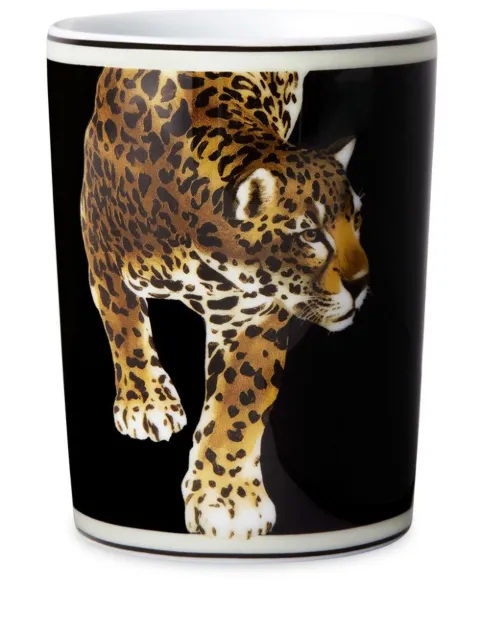 Dolce & Gabbana tiger-print porcelain glass Black TCB031TCA44