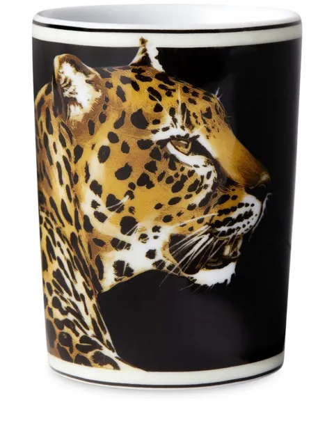 Dolce & Gabbana leopardo-print porcelain glass Black TCB031TCA44