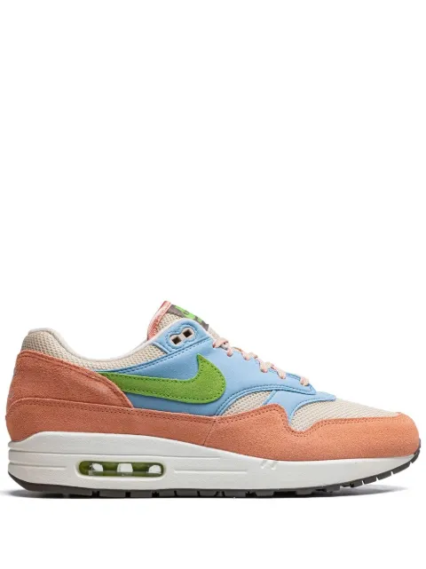 Nike Air Max 1 "Light Madder Root" sneakers Neutrals DV3196