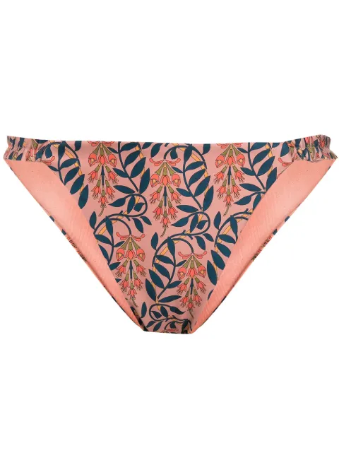 Agua By Agua Bendita floral-print bikini bottoms Pink 9140