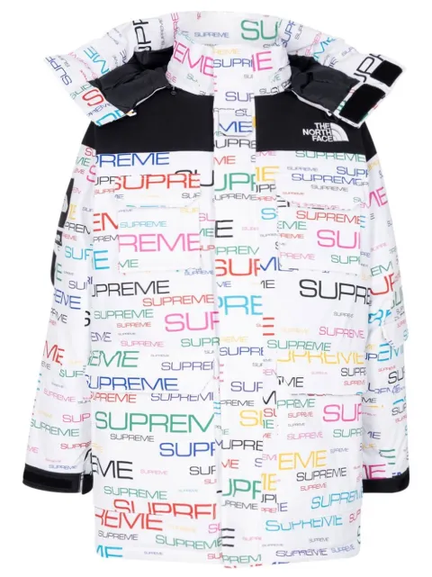 Supreme x TNF Coldworks 700-Fill down parka White SU11060