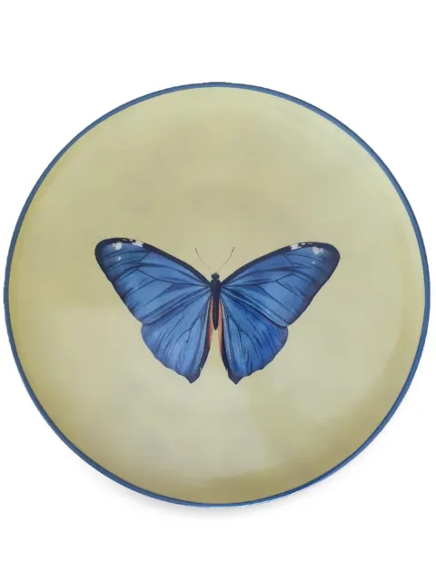 Les-Ottomans Insetti porcelain plate (21cm) Neutrals INP03