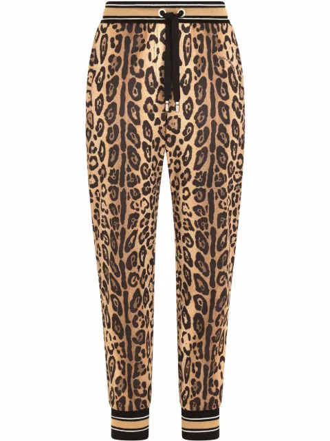 Dolce & Gabbana leopard-print track pants Brown I3ABKWG7BPV