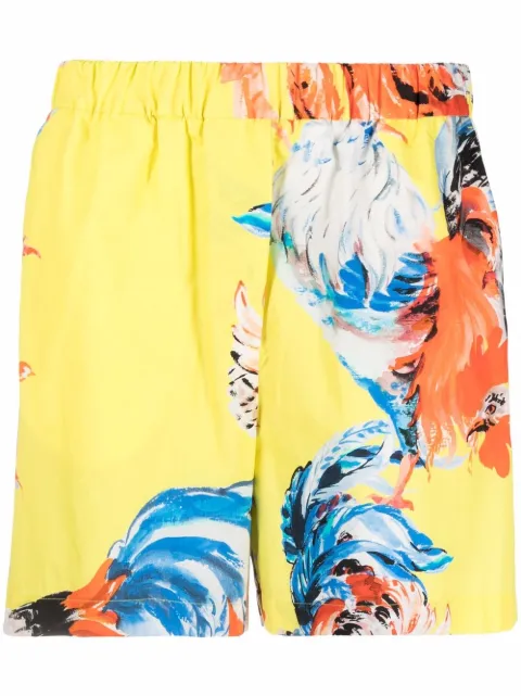 MSGM rooster print shorts Yellow 3042MDB103217350