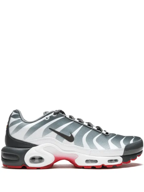 Nike Air Max Plus sneakers Grey AQ0237
