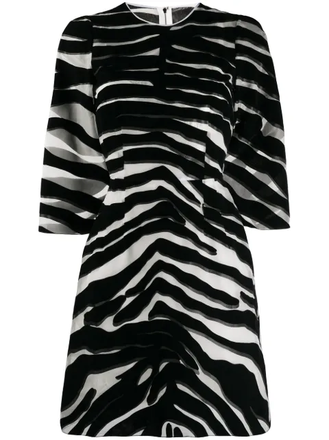 Dolce & Gabbana zebra print sheer dress Black F6J1BTFI1YE