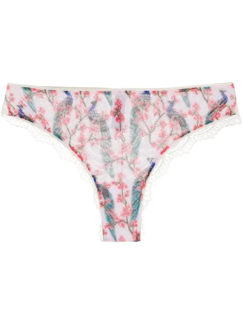 Dolci Follie peacock print brazilian briefs White PEACOCKBRAZILIANBRIEF