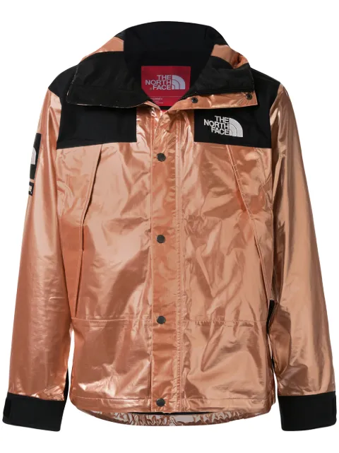 Supreme x The North Face metallic mountain jacket Gold SU4154